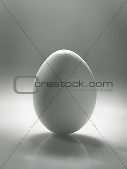 White egg over desk with reflection and shadow