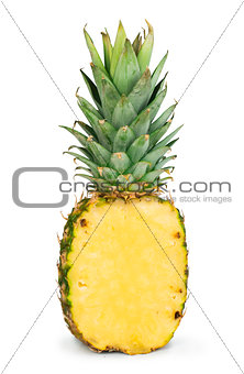 Sliced pineapple white isolated