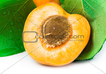 Apricots and leaf white isolated
