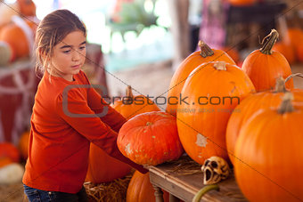 Cute Girl Choosing A Pumpkin