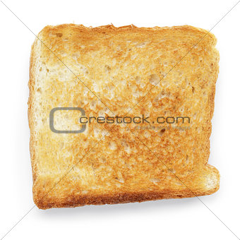 toasted slice of white bread