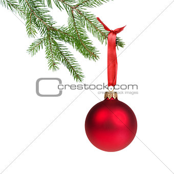 green fir branch with red christmas ball