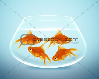 goldfish in small bowl