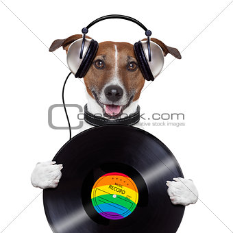 music headphone vinyl record dog