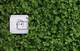 electric power receptacle on a green grass background