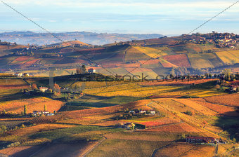 Hills and vineyards in autumn in Italy.