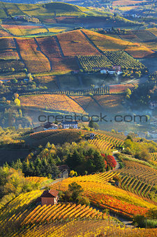 Rural houses and autumnal vineyards in Piedmont, Italy.
