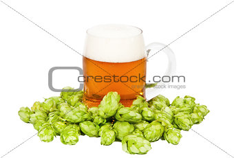 Glass of light beer with foam and hop