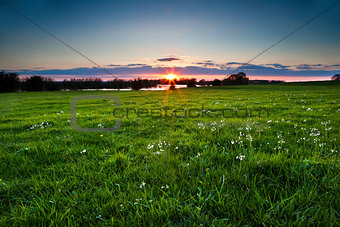 sunset over meadow with spring wildflowers