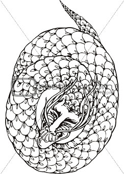 oriental dragon as circle