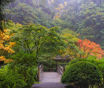 Foggy Morning in Japanese Garden