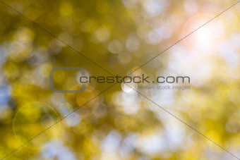 Yellow Blurred Background with Lens Flare