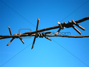Background barbed wire on a background of blue sky