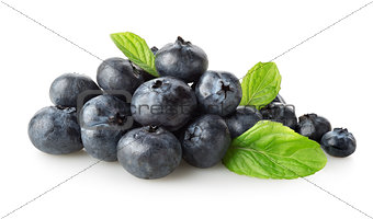 Sweet blueberry with green leaves