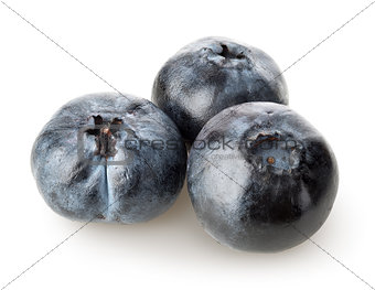 Three sweet blueberries