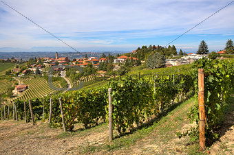 Vineyards on the hills and small town in Italy.