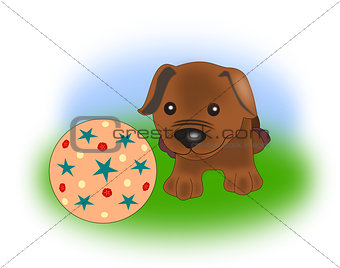 Puppy with Ball