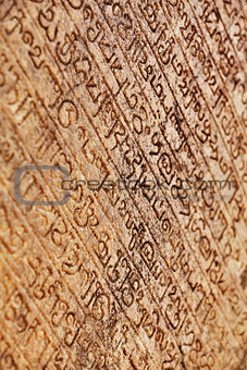 Medieval inscriptions on stone wall. Sri lanka