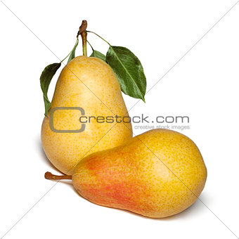 yellow pear 