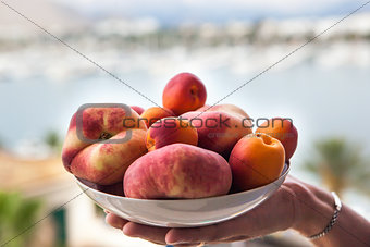 Fresh summer apricots and peaches in a bowl on the hand