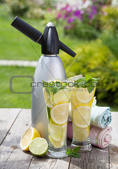 Homemade lemonade and siphon
