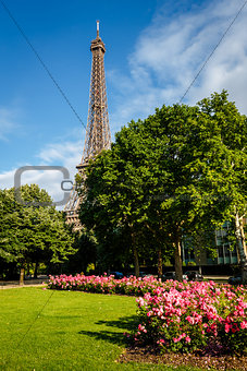 Eiffel Tower and Champs de Mars, Paris, France