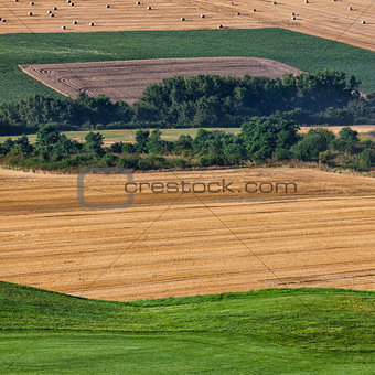 Cultivated fields 