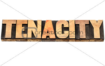 tenacity word in wood type