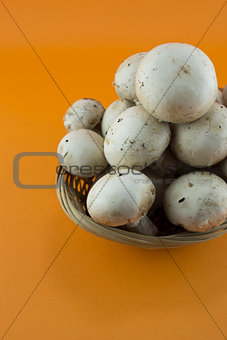 button mushrooms 