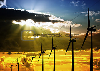 Wind Farm at Sunset