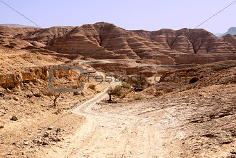 Dusty Road In The Negev Desert