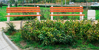 Wooden benches in a park