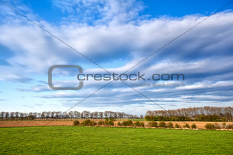 beautiful cloudscape over green meadows