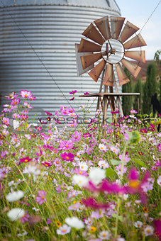 Antique Farm Windmill and Silo in a Flower Field  