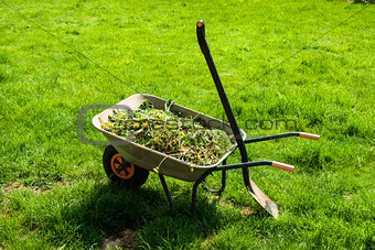 Wheelbarrow on lawn