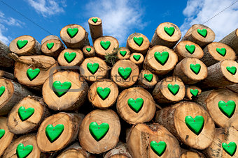 Wooden Logs with Green Hearts
