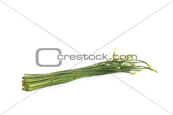 flowering garlic chives 