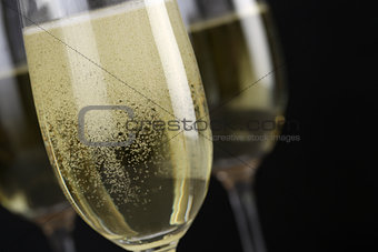 Sparkling Champagne in a glass