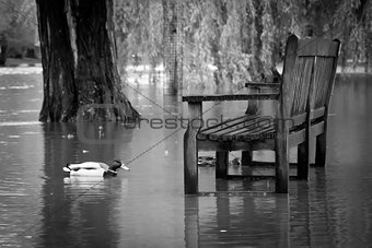 Flooded Riverside Picnic Bench