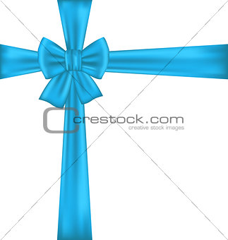Blue bow for packing gift 
