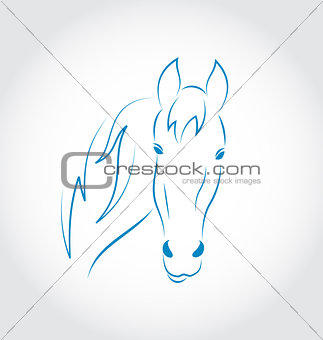 Hand drawn head horse isolated on white background