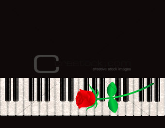 Piano Background with Red Rose Illustration