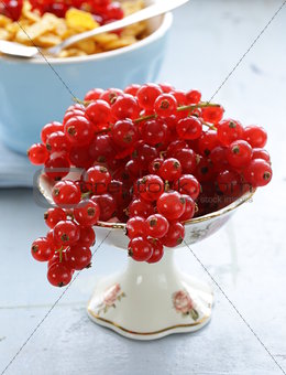 Organic sweet ripe red currant in a small vase