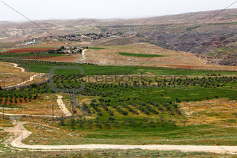 Holy Land landscape