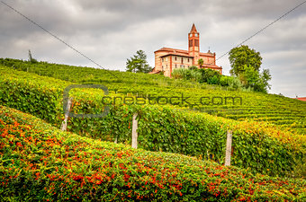 Landscape view of vineyards and old church in Piemont area, Ital