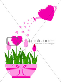 heart flowers in pot