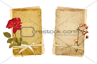 Old cards and dried rose