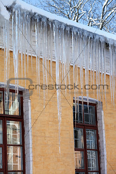 Snow-covered roof with big icicles in winter day