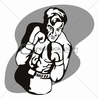 Boxer  punching