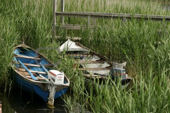 Two Boats In Reeds